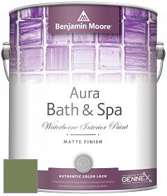 Benjamin Moore Aura 532 Bath & Spa Waterborne Interior Paint Matte Finish краска цвет 546 Courtyard Green