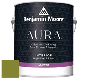 Benjamin Moore Aura 522 Interior Paint - Matte краска цвет NCS S 3065-G50Y 