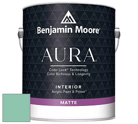 Benjamin Moore Aura 522 Interior Paint - Matte краска цвет 599 Brookdale Gardens