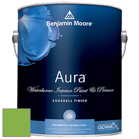 Benjamin Moore Aura 524 Waterborne Interior Eggshell Finish краска цвет NCS S 1070-G30Y 