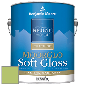 Benjamin Moore W096 Regal Select Exterior Paint-Moor GloSoft Gloss Finish краска цвет 2029-40 Stem Green