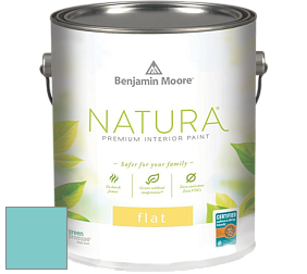 Benjamin Moore 512 Natura Interior Flat Finish матовая краска цвет 739 Un-Teal We Meet Again