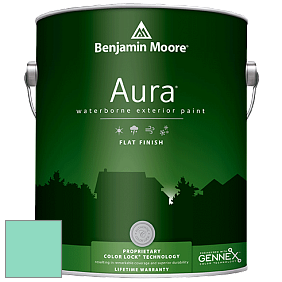 Benjamin Moore Aura 629 Waterborne Exterior Flat Finish краска цвет 613 Fresh Green