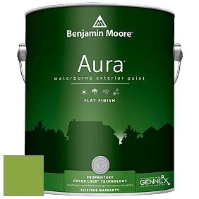 Benjamin Moore Aura 629 Waterborne Exterior Flat Finish краска цвет 2029-30 Rosemary Green
