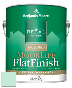 Benjamin Moore W105 Regal Select Exterior Paint-MoorLife Flat Finish краска цвет 2038-60 Tropical Pool