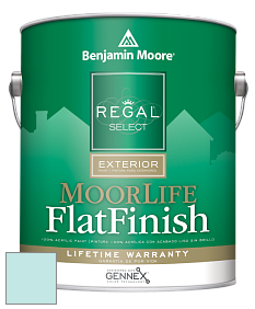 Benjamin Moore W105 Regal Select Exterior Paint-MoorLife Flat Finish краска цвет 729 Jack Frost