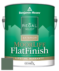 Benjamin Moore W105 Regal Select Exterior Paint-MoorLife Flat Finish краска цвет 637 Gothic Green