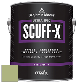 Benjamin Moore 484 Ultra Spec SCUFF-X Interior Matte Finish краска цвет 543 Woodland Hills Green