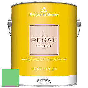 Benjamin Moore 547 Regal Select Waterborne Interior Flat Finish краска цвет NCS S 0560-G10Y 