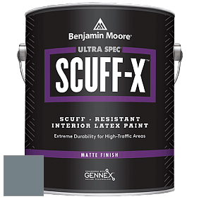 Benjamin Moore 484 Ultra Spec SCUFF-X Interior Matte Finish краска цвет AF-555 