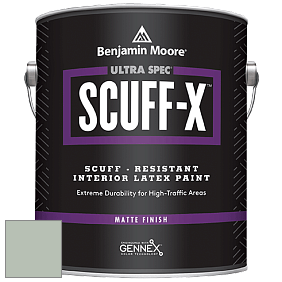Benjamin Moore 484 Ultra Spec SCUFF-X Interior Matte Finish краска цвет 459 Woodland Green