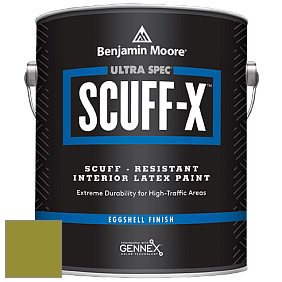 Benjamin Moore 485 Ultra Spec SCUFF-X Interior Eggshell Finish краска цвет NCS S 3060-G60Y 