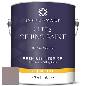 COLOR SMART CS 758 ULTRA CEILING PAINT ультраматовая краска цвет 2114-40 Wet Concrete