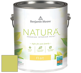 Benjamin Moore 512 Natura Interior Flat Finish матовая краска цвет NCS S 1050-G60Y 