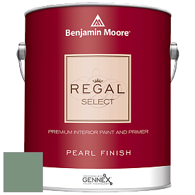 Benjamin Moore 550 Regal Select Waterborne Interior Pearl Finish краска цвет NCS S 4020-G10Y 