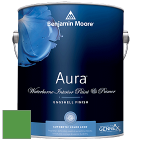 Benjamin Moore Aura 524 Waterborne Interior Eggshell Finish краска цвет NCS S 2070-G20Y 