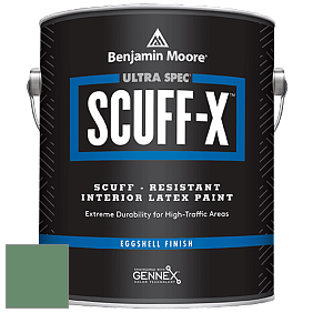 Benjamin Moore 485 Ultra Spec SCUFF-X Interior Eggshell Finish краска цвет NCS S 4030-G10Y 