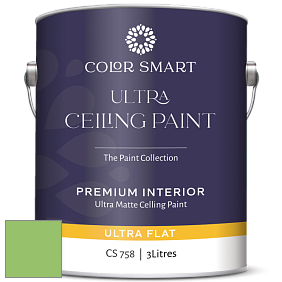 COLOR SMART CS 758 ULTRA CEILING PAINT ультраматовая краска цвет 558 Killala Green