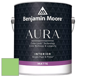 Benjamin Moore Aura 522 Interior Paint - Matte краска цвет 2032-40 Citrus Green