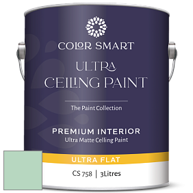 COLOR SMART CS 758 ULTRA CEILING PAINT ультраматовая краска цвет NCS S 1020-G 