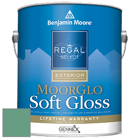 Benjamin Moore W096 Regal Select Exterior Paint-Moor GloSoft Gloss Finish краска цвет 622 Alpine Trail
