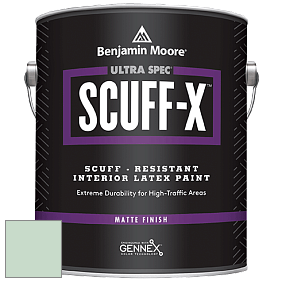 Benjamin Moore 484 Ultra Spec SCUFF-X Interior Matte Finish краска цвет 638 Pure Essence