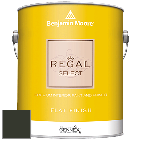 Benjamin Moore 547 Regal Select Waterborne Interior Flat Finish краска цвет RAL 6008 