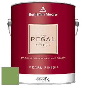 Benjamin Moore 550 Regal Select Waterborne Interior Pearl Finish краска цвет 552 Pleasant Grove