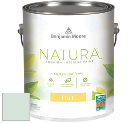 Benjamin Moore 512 Natura Interior Flat Finish матовая краска цвет 843 Taffeta Green