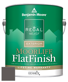 Benjamin Moore W105 Regal Select Exterior Paint-MoorLife Flat Finish краска цвет AF-655 