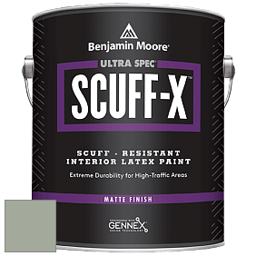 Benjamin Moore 484 Ultra Spec SCUFF-X Interior Matte Finish краска цвет AF-470 