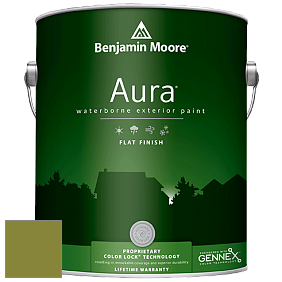 Benjamin Moore Aura 629 Waterborne Exterior Flat Finish краска цвет 2146-10 Dark Celery