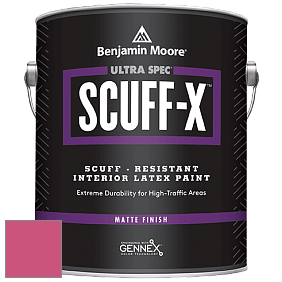 Benjamin Moore 484 Ultra Spec SCUFF-X Interior Matte Finish краска цвет NCS S 1070-R20B 