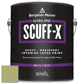 Benjamin Moore 484 Ultra Spec SCUFF-X Interior Matte Finish краска цвет 538 Vienna Green
