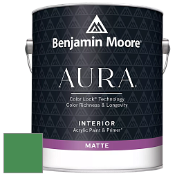 Benjamin Moore Aura 522 Interior Paint - Matte краска цвет 574 Once Upon a Time