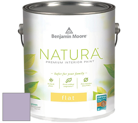 Benjamin Moore 512 Natura Interior Flat Finish матовая краска цвет NCS S 2020-R50B 
