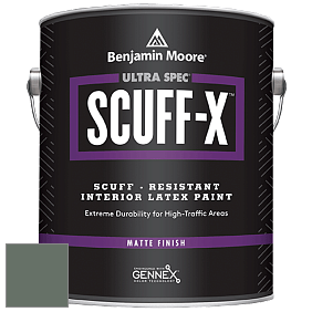 Benjamin Moore 484 Ultra Spec SCUFF-X Interior Matte Finish краска цвет 700 Enchanted Forest
