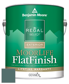 Benjamin Moore W105 Regal Select Exterior Paint-MoorLife Flat Finish краска цвет 713 Polished Slate