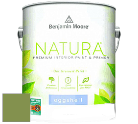 Benjamin Moore 513 Natura Interior Eggshell Finish краска с блеском цвет NCS S 3050-G40Y 