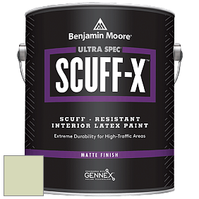 Benjamin Moore 484 Ultra Spec SCUFF-X Interior Matte Finish краска цвет 535 Soothing Green