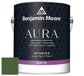 Benjamin Moore Aura 522 Interior Paint - Matte краска цвет NCS S 5540-G30Y 