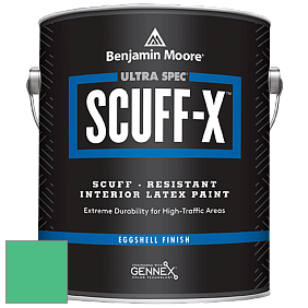 Benjamin Moore 485 Ultra Spec SCUFF-X Interior Eggshell Finish краска цвет NCS S 1060-G 