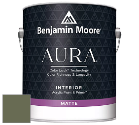Benjamin Moore Aura 522 Interior Paint - Matte краска цвет 441 Alligator Alley