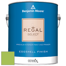 Benjamin Moore 549 Regal Select Waterborne Interior Eggshell Finish краска цвет 419 Malachy Green