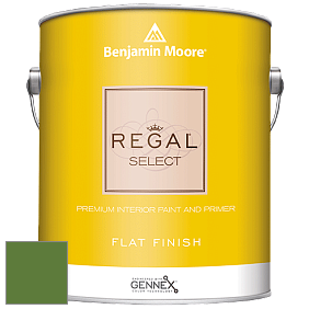 Benjamin Moore 547 Regal Select Waterborne Interior Flat Finish краска цвет NCS S 3560-G30Y 
