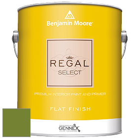 Benjamin Moore 547 Regal Select Waterborne Interior Flat Finish краска цвет NCS S 3065-G40Y 