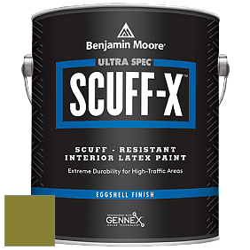 Benjamin Moore 485 Ultra Spec SCUFF-X Interior Eggshell Finish краска цвет NCS S 3560-G60Y 