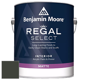 Benjamin Moore 548 IRegal Select Interior Paint - Matte краска цвет RAL 6006 