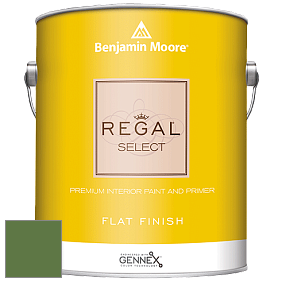 Benjamin Moore 547 Regal Select Waterborne Interior Flat Finish краска цвет NCS S 4050-G30Y 