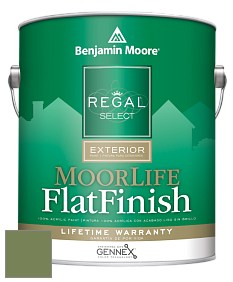 Benjamin Moore W105 Regal Select Exterior Paint-MoorLife Flat Finish краска цвет 546 Courtyard Green